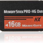 Carte mémoire Memory Stick PRO Duo 16 GB