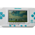 Jeu électronique portable Angry Birds