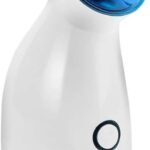 Humidificateur facial Nano ionique