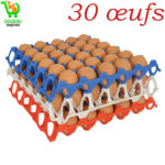 Une Alvéole de 30 œufs de qualité ( Douala )
