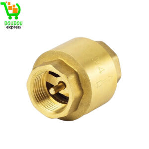 clapet anti-retour à ressort en laiton avec filetage femelle pour eau et huile, valves unidirectionnelles, DN20 1,9 cm BSP