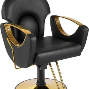 Fauteuil De Coiffure Professionnelle Hydraulique À 360 Degrés De Rotation, Chaise De Barbier De Salon Classique, Fauteuil De Coiffeur Réglable en Hauteur,Noir [Classe énergétique A]