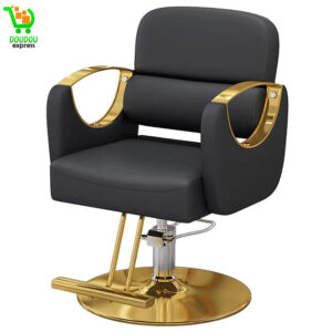 Fauteuil de Coiffeur Chaise de Salon hydraulique pour Coiffeur, chaises de barbier pivotantes à 360 degrés, équipement de Spa de beauté Tout Usage, Poids de Charge Maximum 330 LB,A